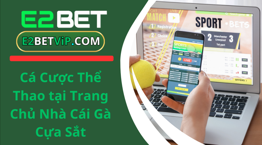 Cá Cược Thể Thao tại Trang Chủ Nhà Cái Gà Cựa Sắt
