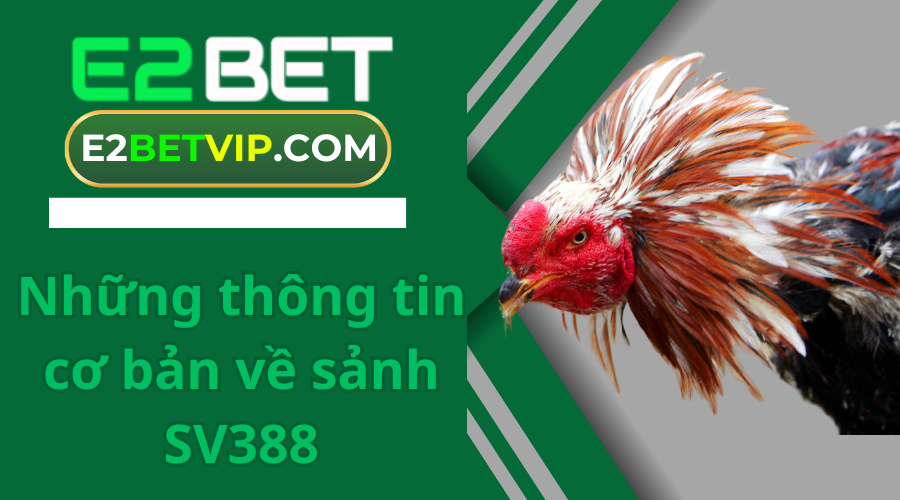 Những thông tin cơ bản về sảnh SV388